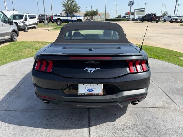 Used 2024 Ford Mustang Premium RWD image 5