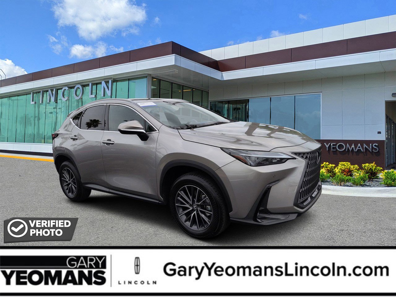 Used 2024 Lexus NX 350 AWD