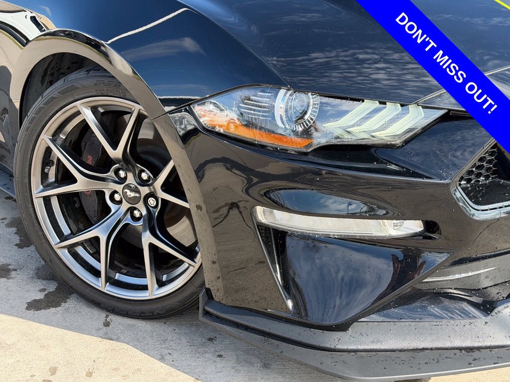 Used 2019 Ford Mustang GT w/ Performance Package - Level 2 RWD image 2