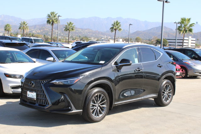 Certified 2024 Lexus NX 350h AWD w/ Cold Area Package image 3