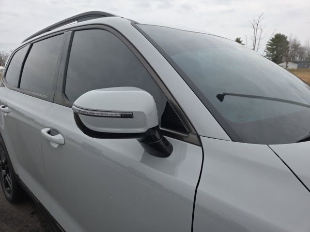 Used 2025 Kia Telluride SX Prestige X-Line image 6