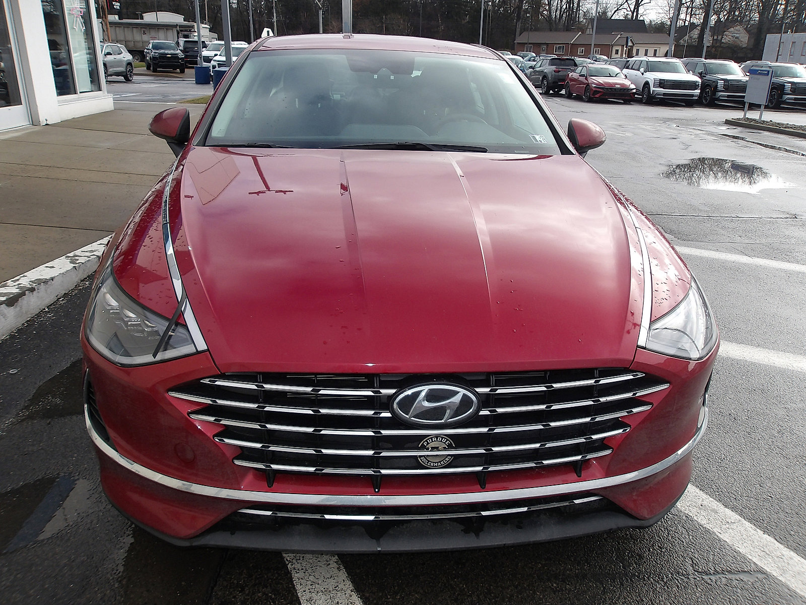 Used 2023 Hyundai Sonata Blue w/ Cargo Package