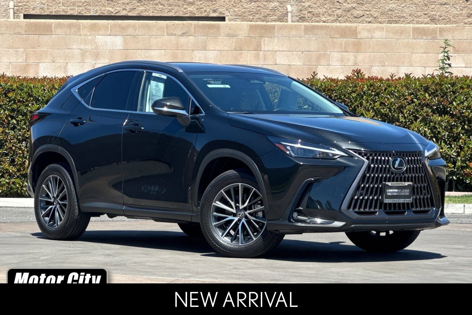 Certified 2025 Lexus NX 350h AWD w/ Cold Area Package image 1