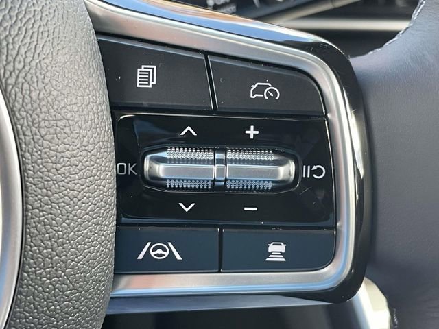 New 2026 Kia Carnival image 32