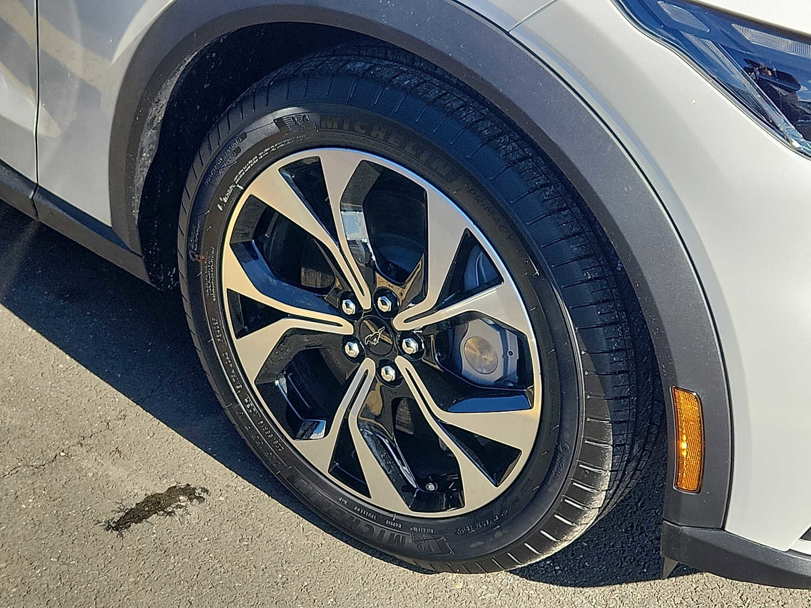 Used 2025 Ford Mustang Mach-E Select image 7