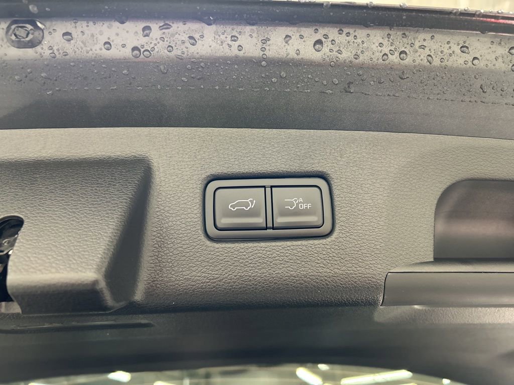 New 2025 Kia Telluride EX image 29