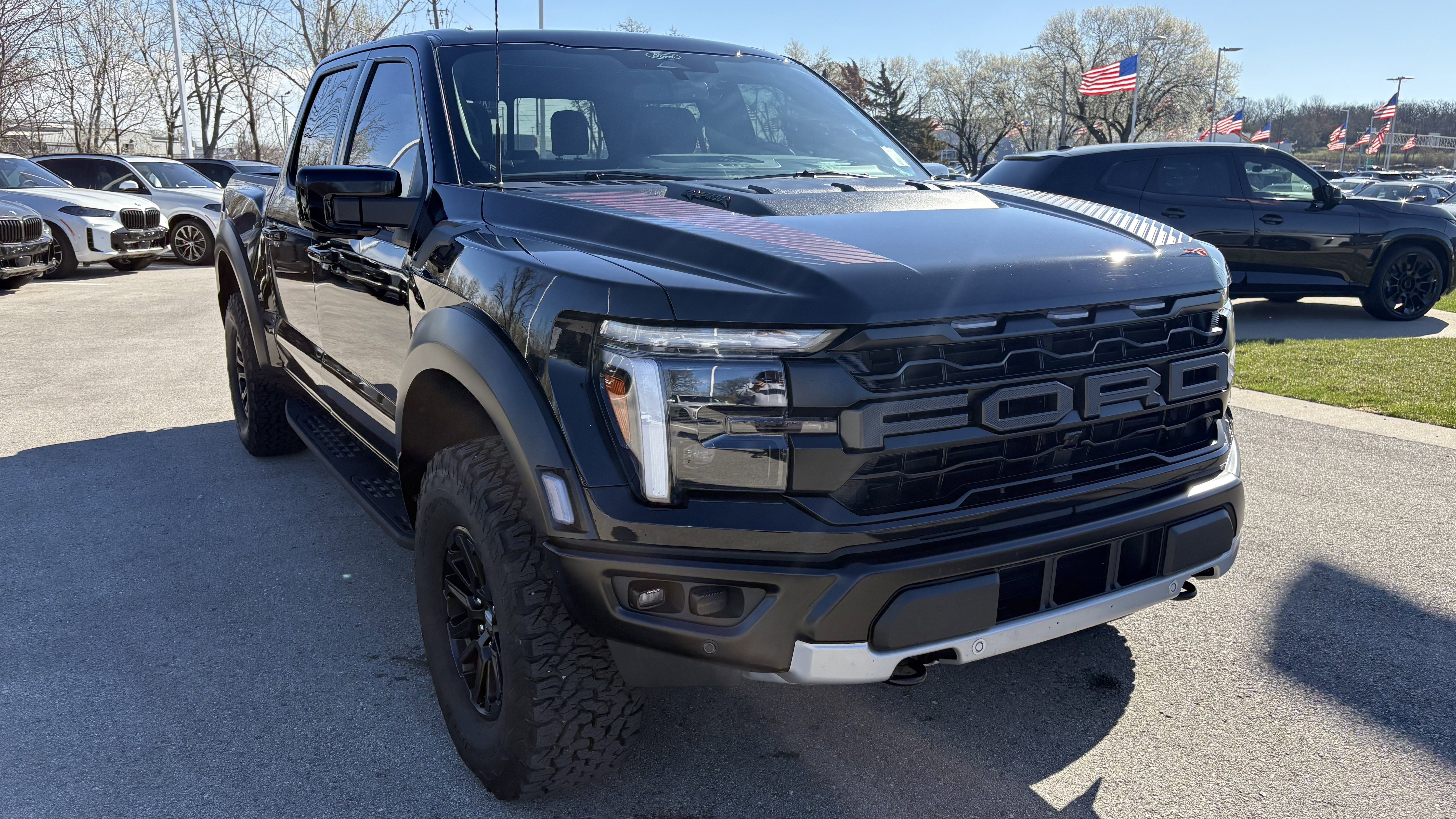Used 2025 Ford F150 Raptor image 2