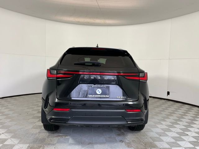 Used 2024 Lexus NX 250 AWD image 6