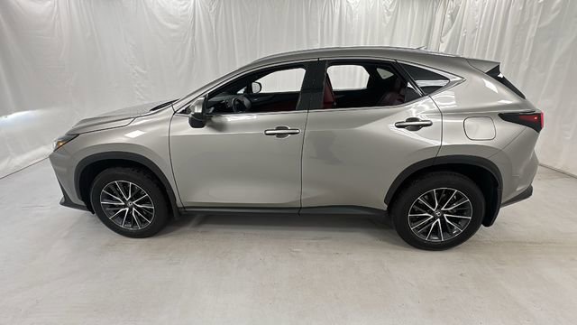 Used 2024 Lexus NX 350h AWD image 6