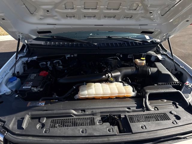 Used 2024 Ford Expedition XLT image 12