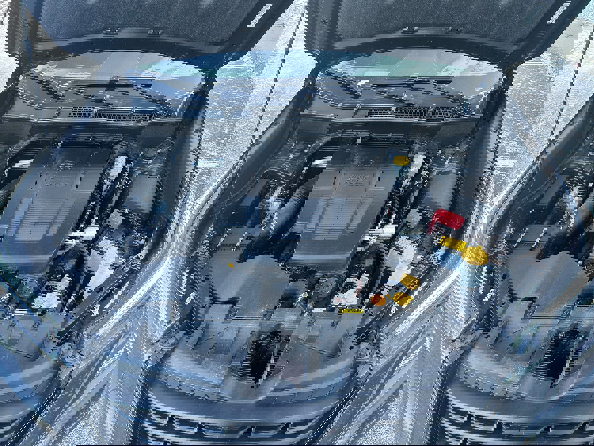 Certified 2023 Subaru Forester Premium image 9