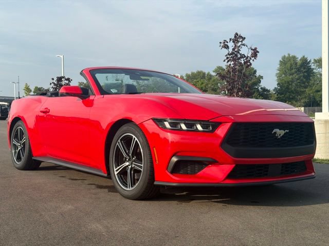 Used 2024 Ford Mustang Premium RWD image 2