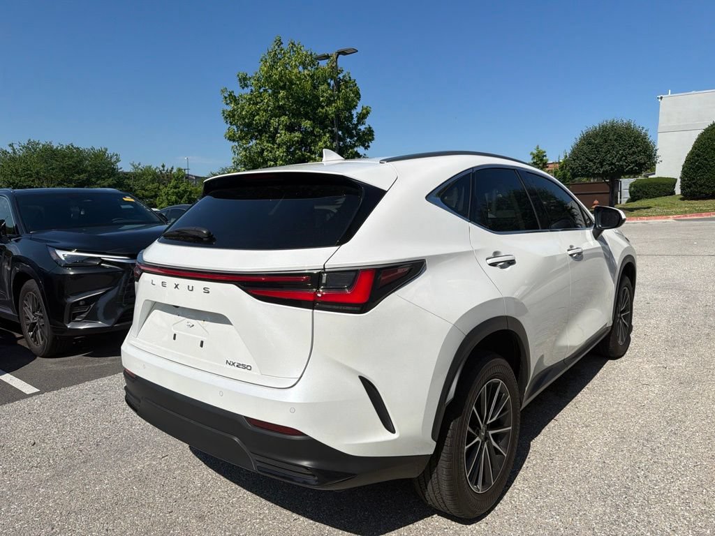Certified 2024 Lexus NX 250 FWD image 11