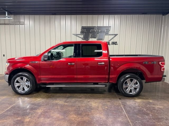 Used 2019 Ford F150 XLT w/ Equipment Group 302A Luxury AWD/4WD image 3