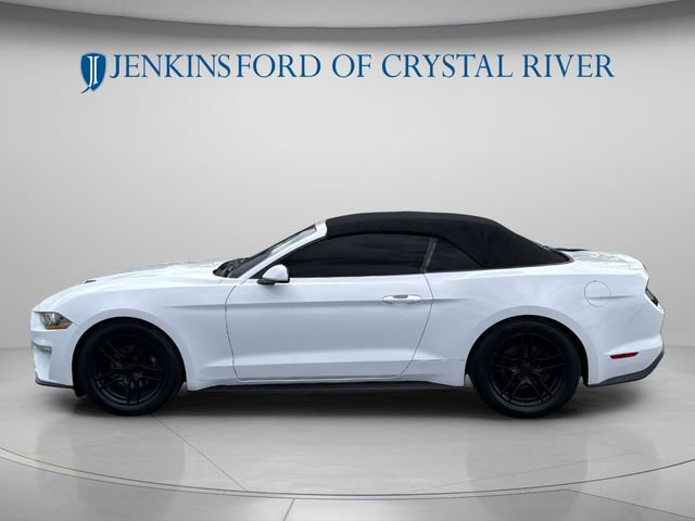 Used 2021 Ford Mustang Premium RWD image 10