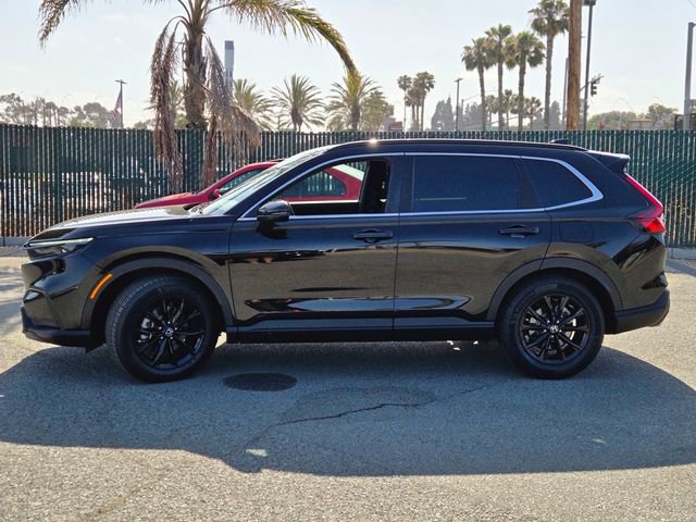 Used 2024 Honda CR-V Sport image 12
