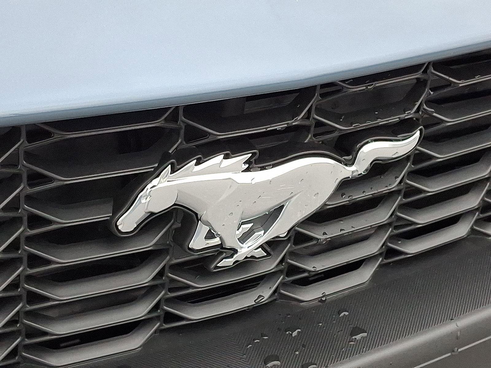 New 2026 Ford Mustang Coupe image 17