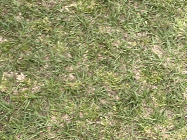 Used 2021 Ford Bronco Sport Outer Banks image 18