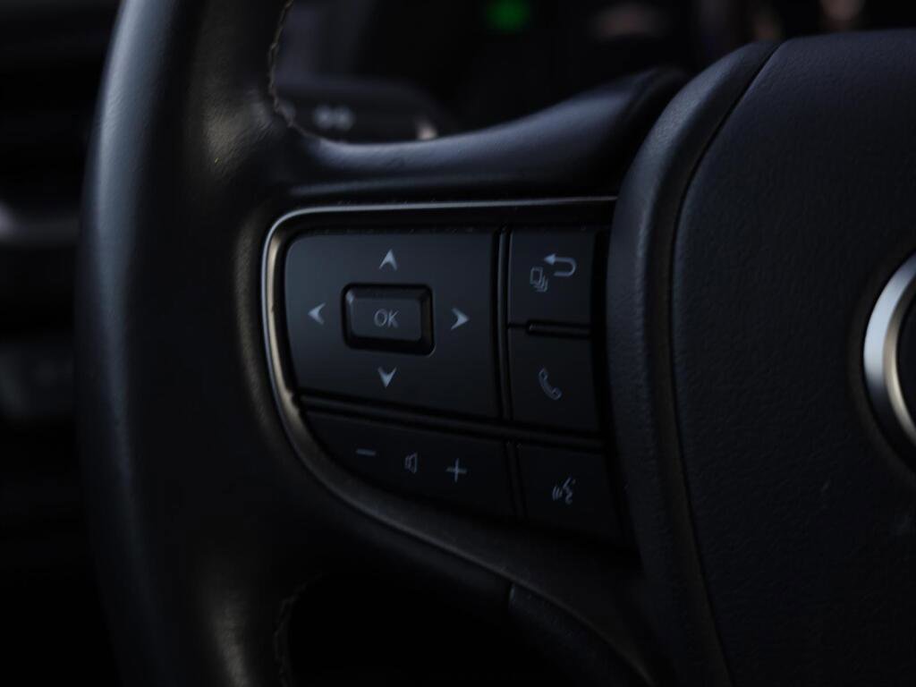 Used 2021 Lexus UX 250h w/ Accessory Package (Z1) image 13