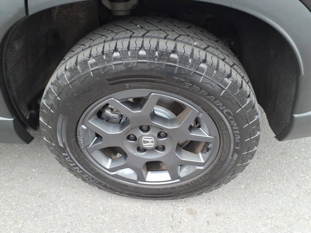 Used 2025 Honda Pilot TrailSport image 19