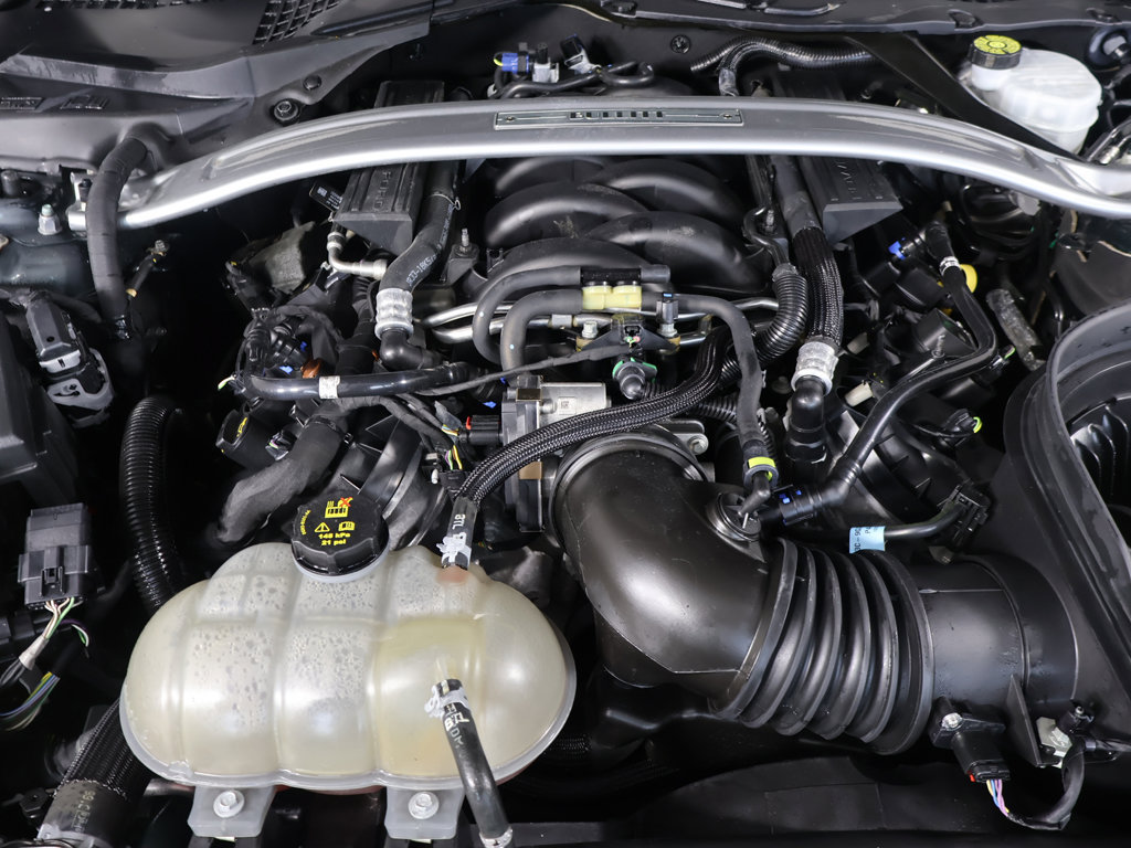 Used 2019 Ford Mustang Bullitt RWD image 21
