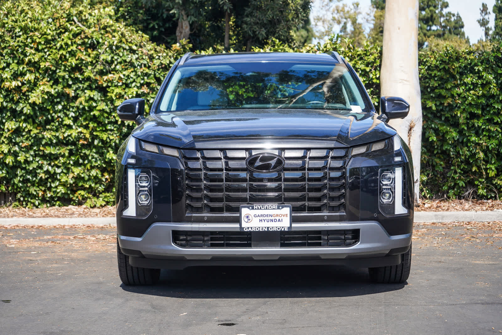 Used 2024 Hyundai Palisade SEL FWD image 2