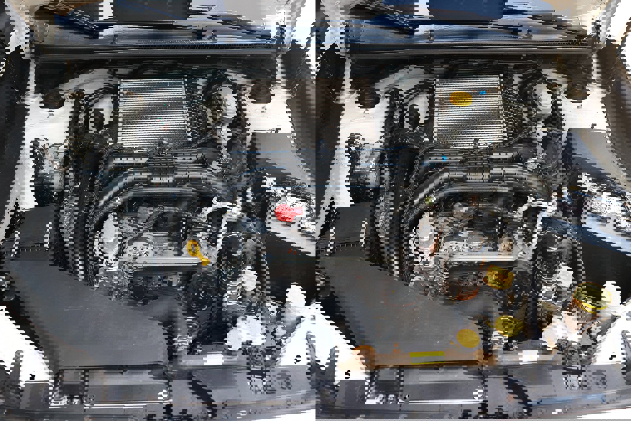 Used 2019 Subaru WRX Premium image 22