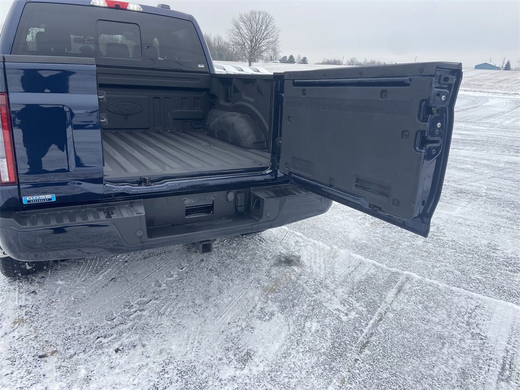 Used 2024 Ford F150 Platinum image 35