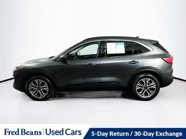 Used 2020 Ford Escape SEL image 4