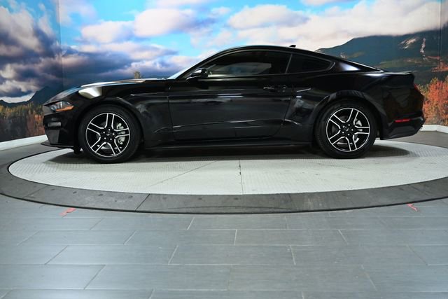 Used 2020 Ford Mustang Coupe w/ Equipment Group 101A image 4