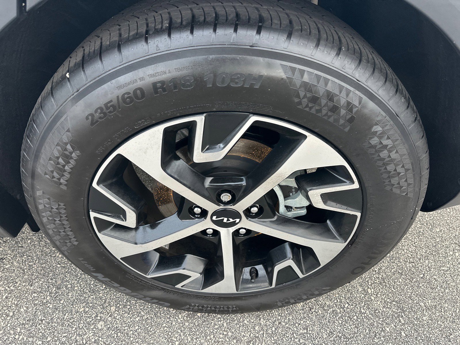 Used 2025 Kia Sportage EX image 15