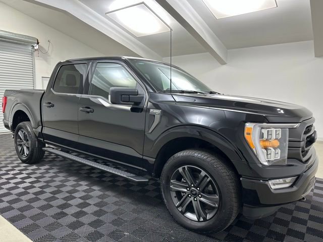 New 2023 Ford F150 XLT w/ Equipment Group 302A High