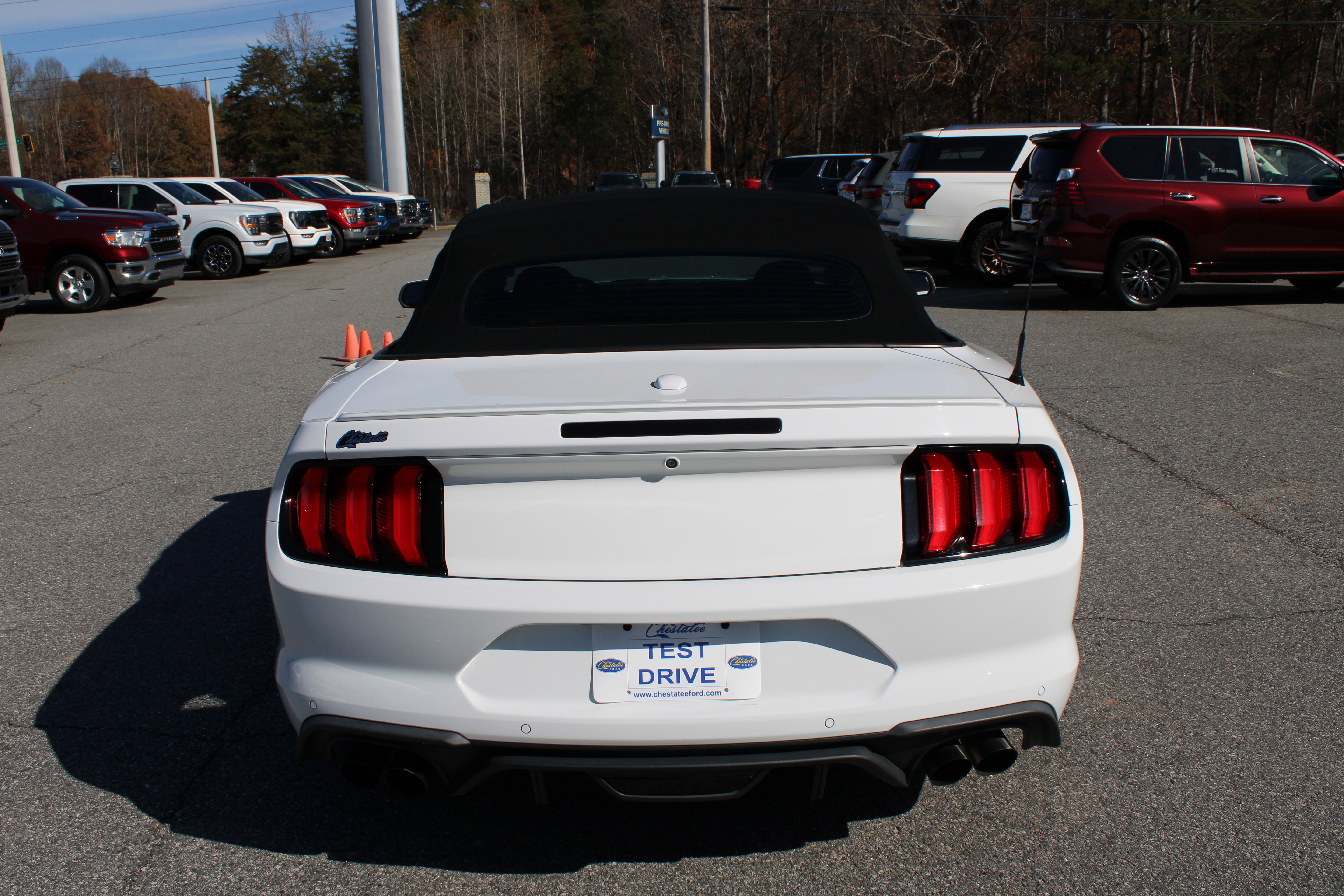 Used 2019 Ford Mustang GT Premium w/ Equipment Group 401A image 7