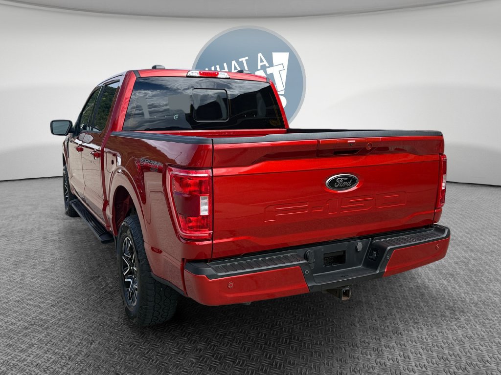 Used 2023 Ford F150 XLT w/ Equipment Group 302A High AWD/4WD image 6