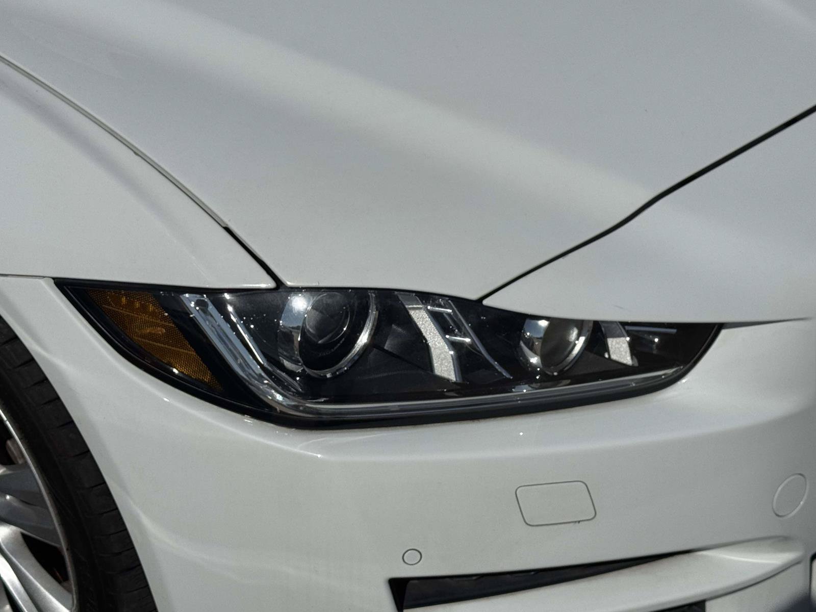 Used 2019 Jaguar XE Premium AWD/4WD image 6