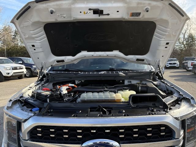 Certified 2021 Ford F150 Platinum w/ Equipment Group 701A High image 19
