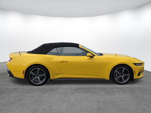 Used 2024 Ford Mustang Premium RWD image 4