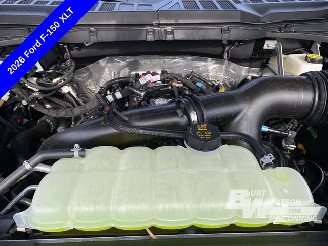 New 2026 Ford F150 XLT w/ Equipment Group 302A MID image 14