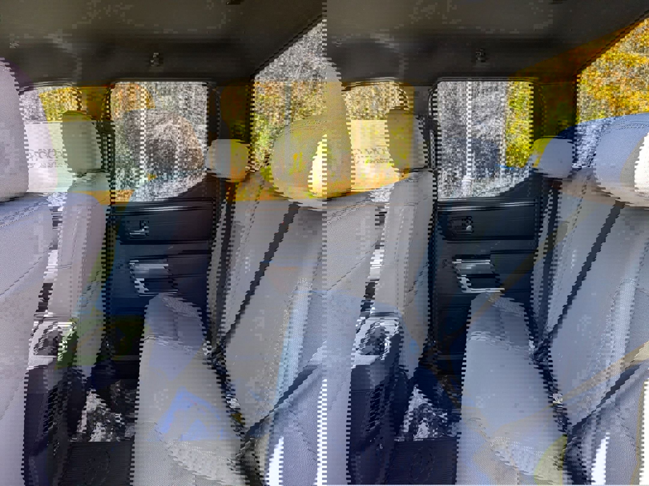 New 2025 Toyota Tundra SR5 image 43