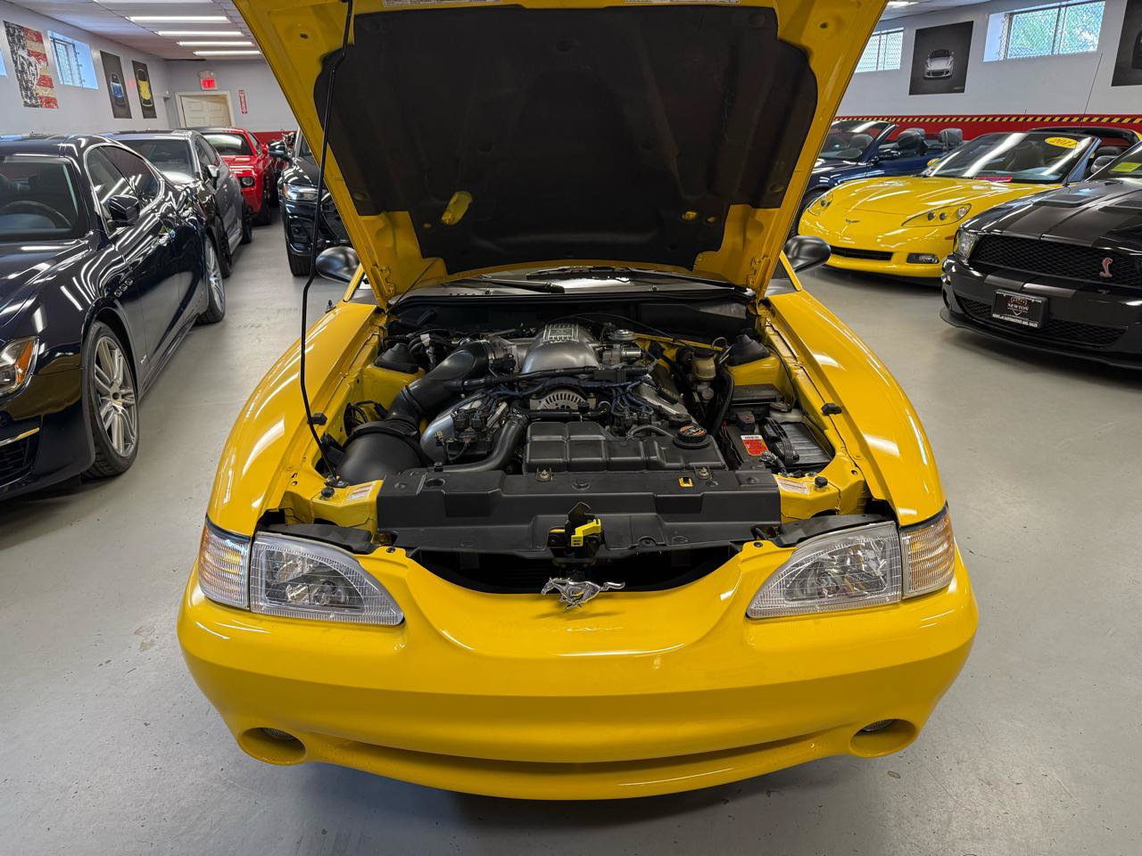 Used 1998 Ford Mustang Cobra RWD image 28