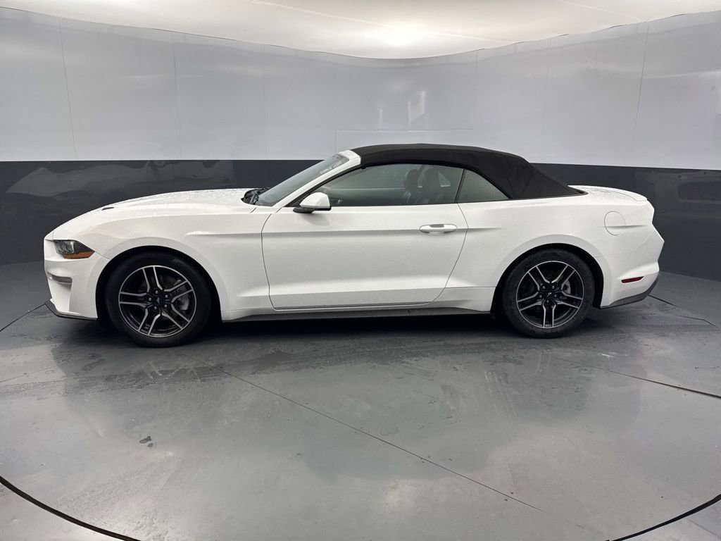 Used 2023 Ford Mustang Premium video 2