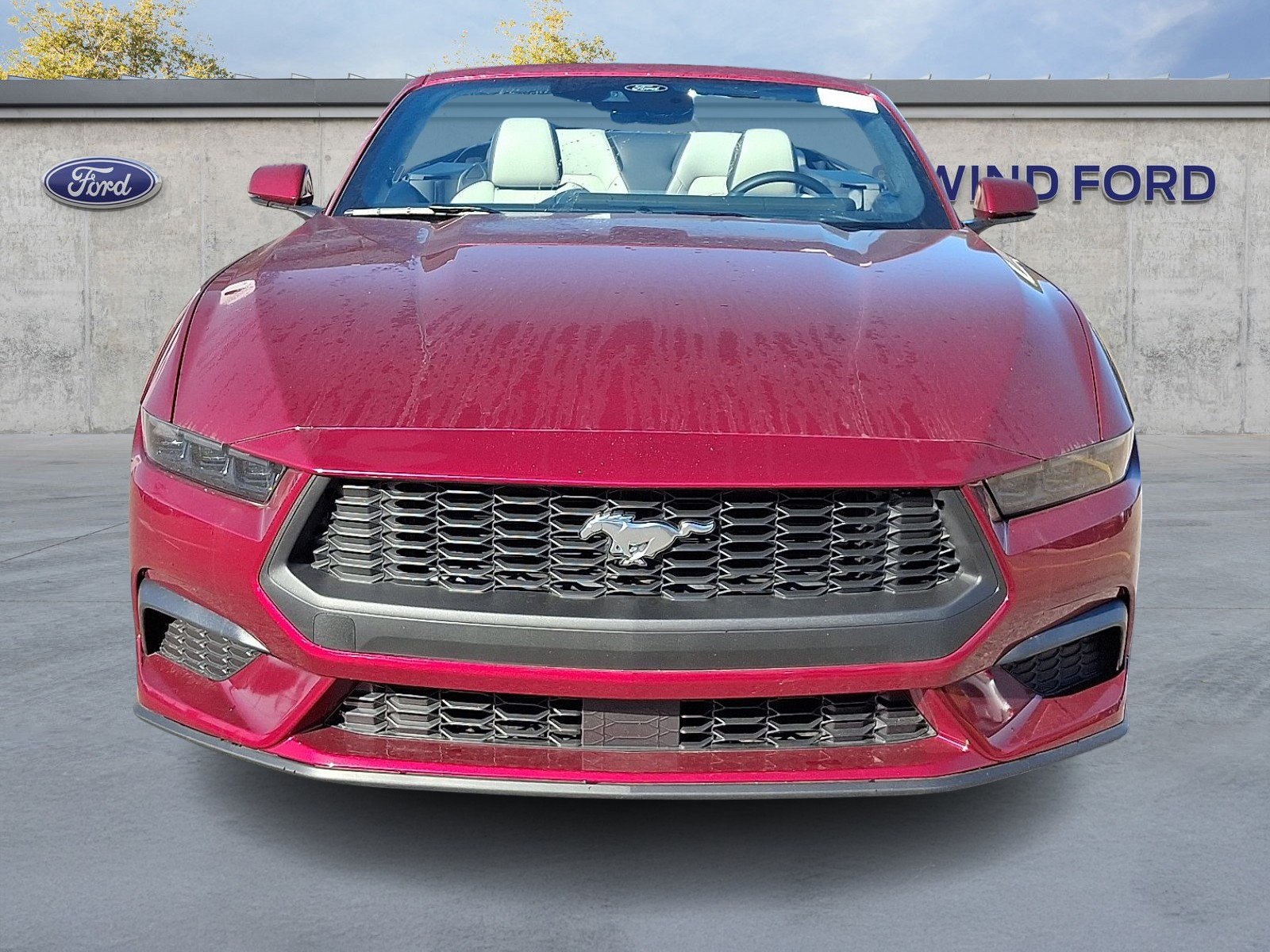 Used 2026 Ford Mustang Premium RWD image 2