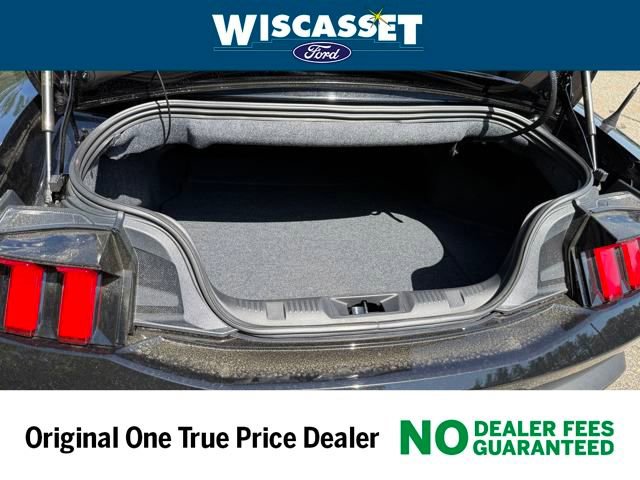 New 2025 Ford Mustang GT Premium w/ Mustang Nite Pony Package image 14