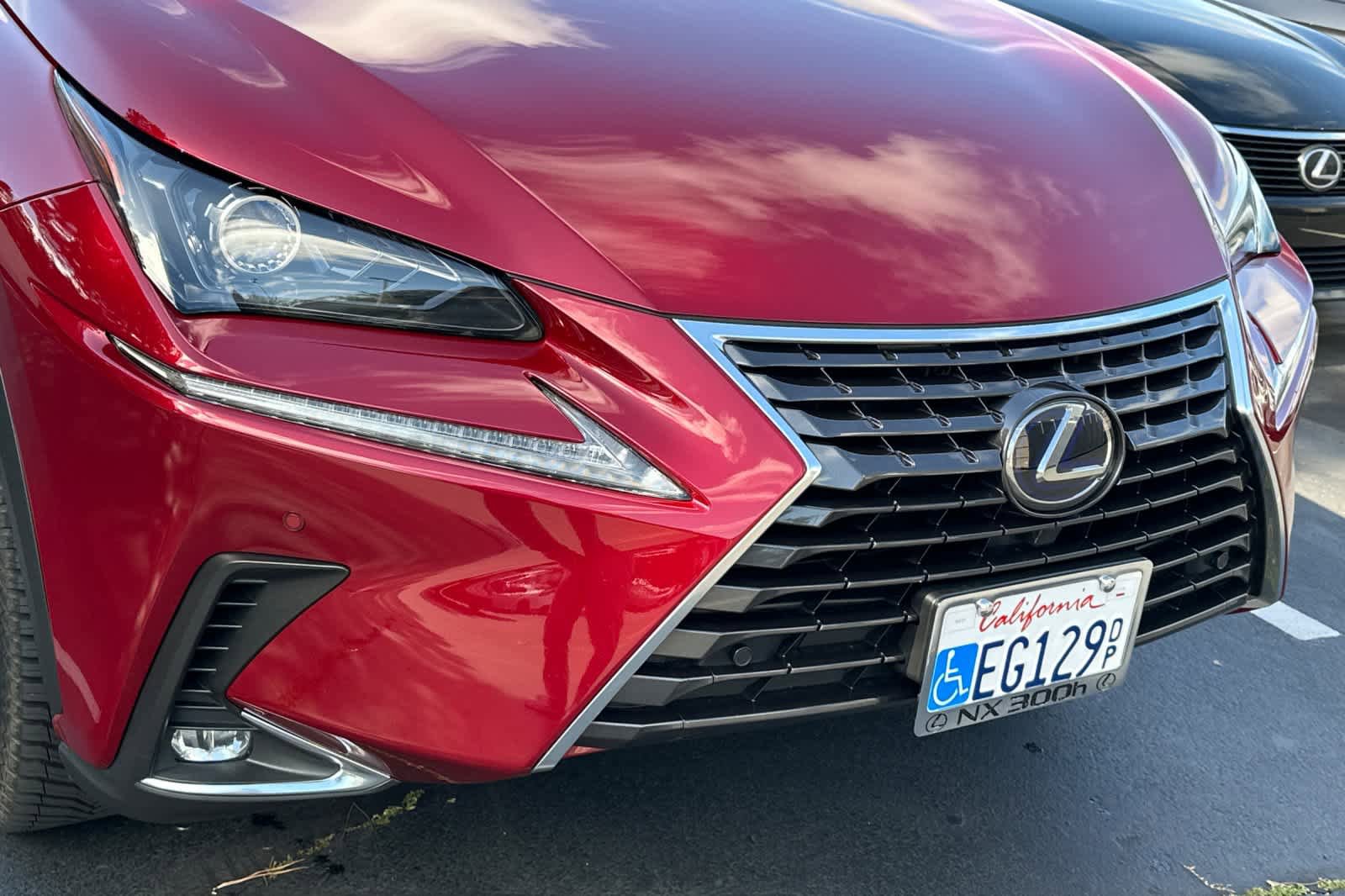 Used 2019 Lexus NX 300h AWD w/ Premium Package image 8