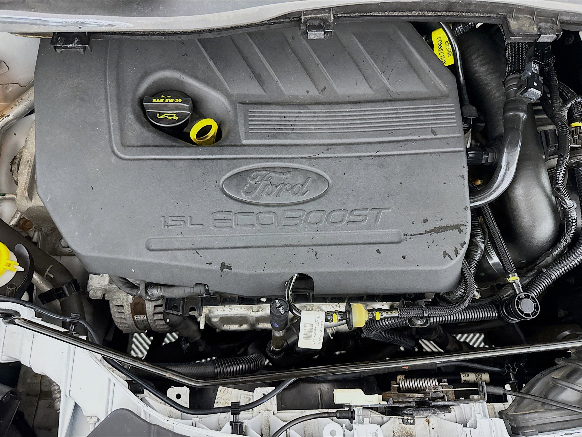 Used 2017 Ford Escape SE FWD image 53