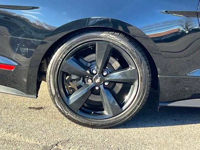 Used 2019 Ford Mustang GT Premium w/ Equipment Group 401A image 16