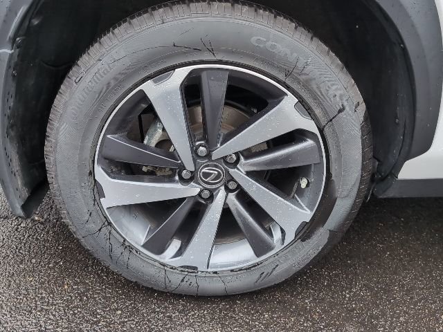 Used 2019 Lexus NX 300h AWD w/ Premium Package image 9