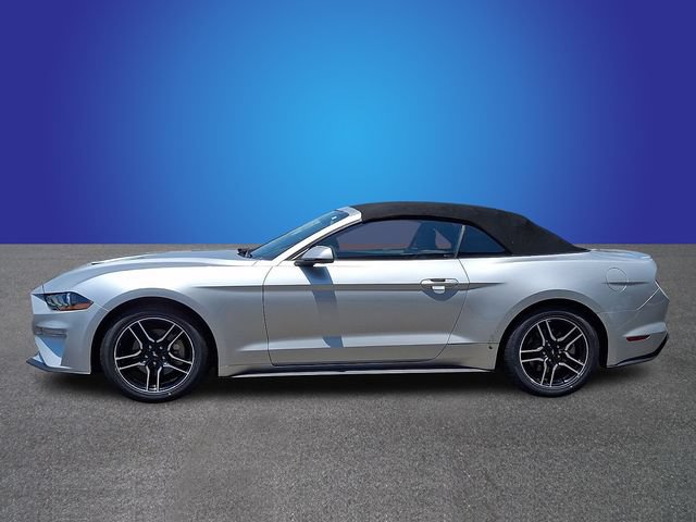Used 2019 Ford Mustang Premium RWD image 7