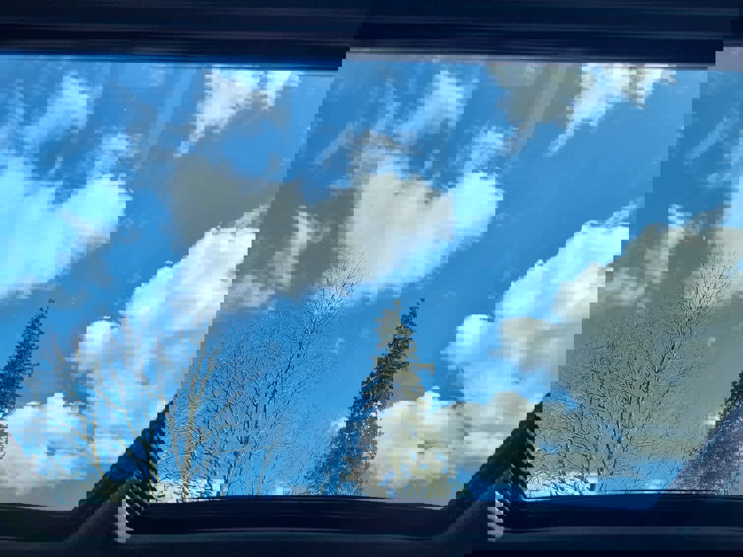 New 2026 Subaru Forester Limited image 36