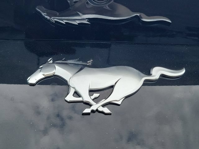 Used 2025 Ford Mustang Convertible RWD image 8